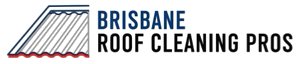 Brisbane Roof Cleaning Pros